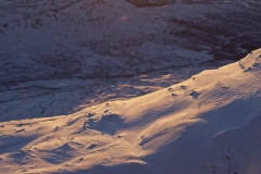 SchAdv00043